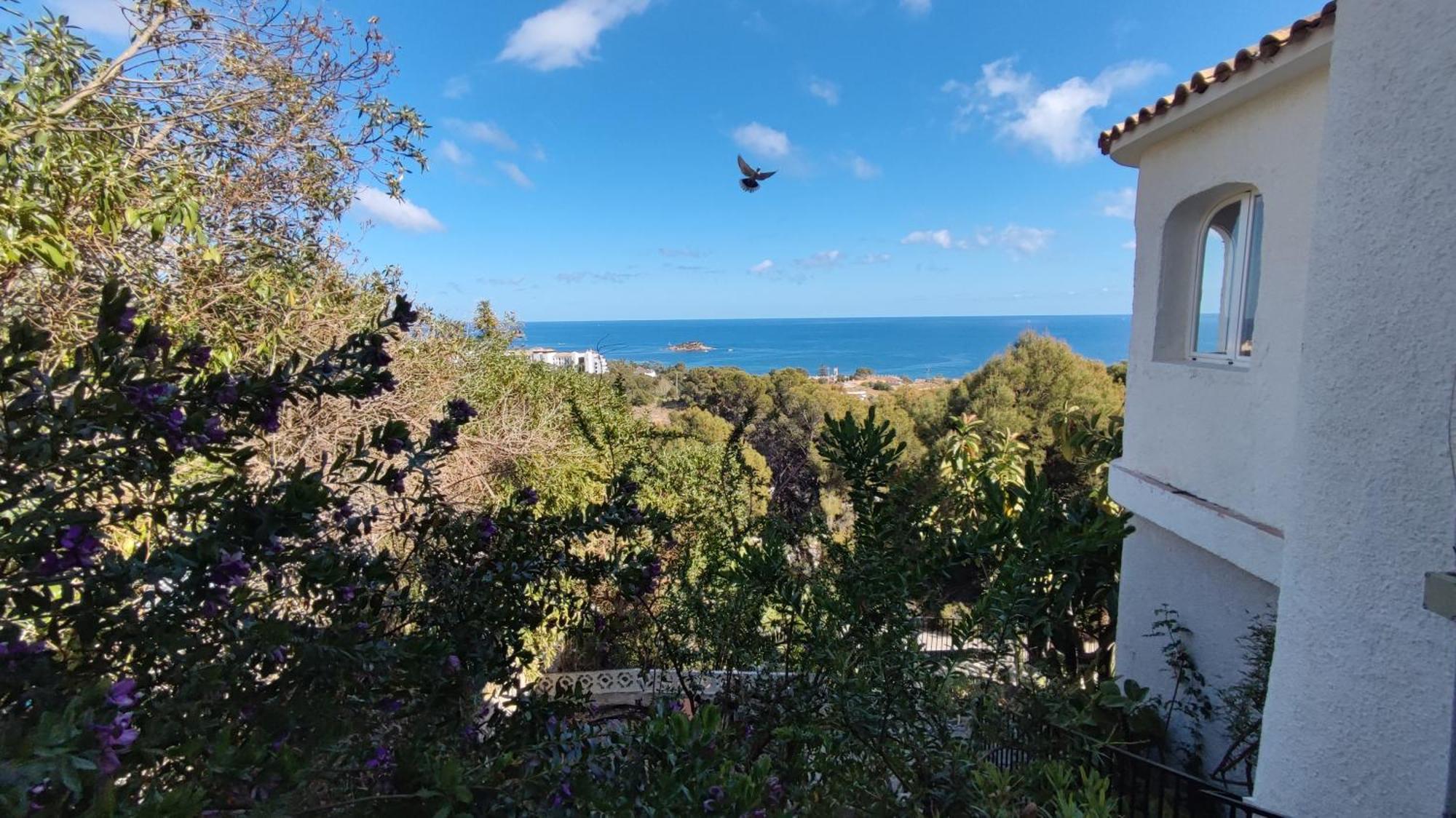 Casa Alberto - Altea Exteriér fotografie